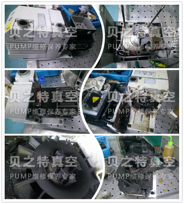 萊寶d16b-1發布.png